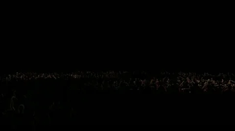 CONCERT AUDIENCE Video stock 10920315