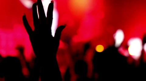 Concert cheering crowd Vidéo 1060999