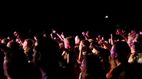 Concert Cheering Crowd Stock Footage 7899529