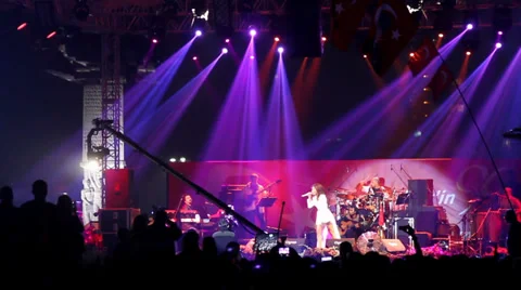 Concert Crowd 2 Vídeos de archivo 39908551