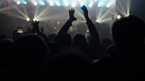 Concert Crowd Cheering and Clapping at Live Music Event Stock Footage 335269437