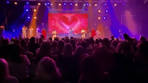 Concert Crowd facing stage - 2 Stock Footage 213008914