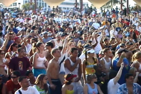 Concert Crowd Video stock 290348