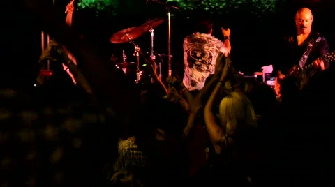 Concert Crowd Stock Footage 844153
