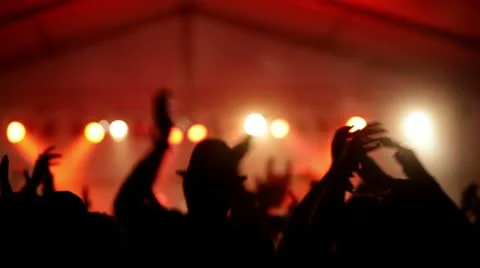 Concert crowd Stock Footage 10561073