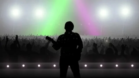 Concert Crowd Stock Footage 10684926