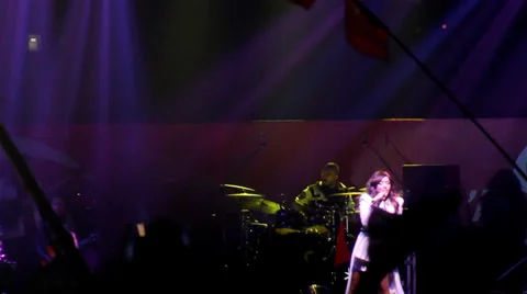 Concert Crowd Vídeos de archivo 39910501