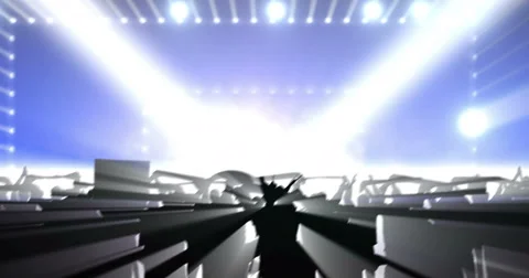 Concert Crowd Stock Footage 44385864