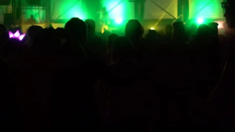Concert Crowd Stock Footage 113069427