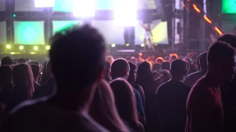 Concert Crowd Stock Footage 113069883