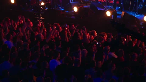 Concert Crowd Stock Footage 139399145