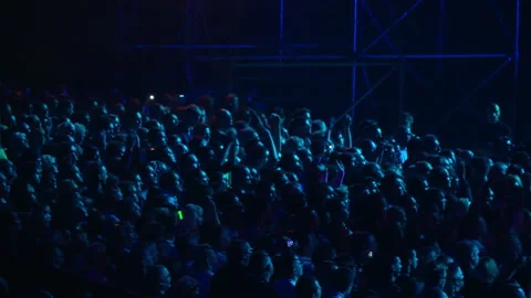 Concert Crowd Stock Footage 139399317