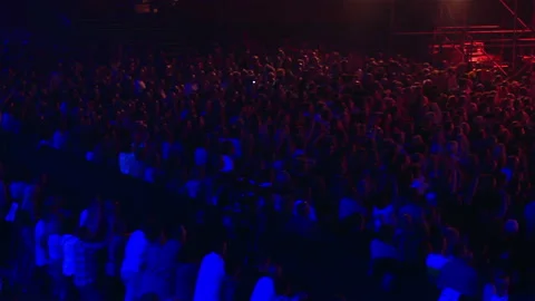 Concert Crowd Stock Footage 139399526