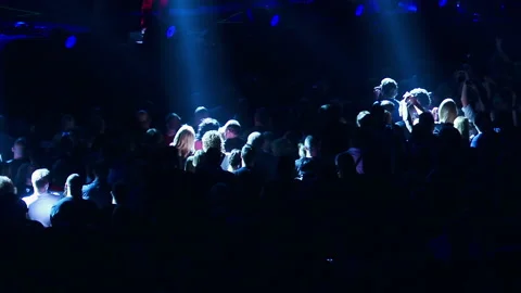 Concert Crowd Stock Footage 139399613