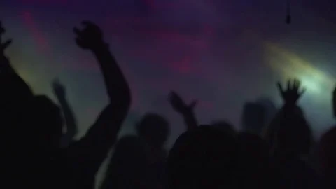 Concert crowd, slow motion Video stock 72125020
