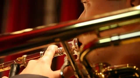 Concert Stock Footage 8928804