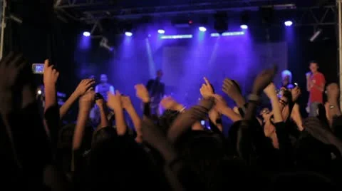 Concert Stock Footage 8999465