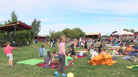 Concert in the Park Crowd Stock Footage 40699320