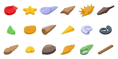 Conch icons set isometric vector. Beach shell Stock Illustration