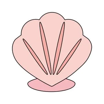 Conch or shell icon image 库存插图
