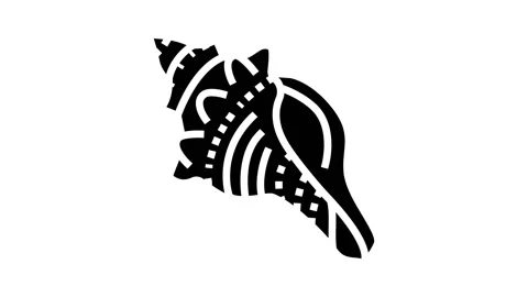Conch sea shell beach glyph icon animation Stock Footage 224875641