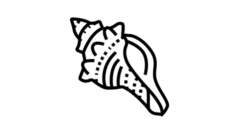 Conch sea shell beach line icon animation Stock Footage 224439816