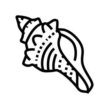 Conch sea shell beach line icon vector illustration Stock Illustration
