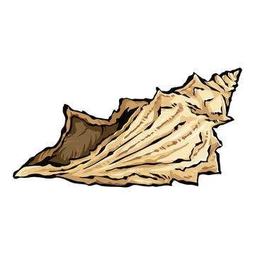 Conch sea shell vector art illustration. イラスト素材