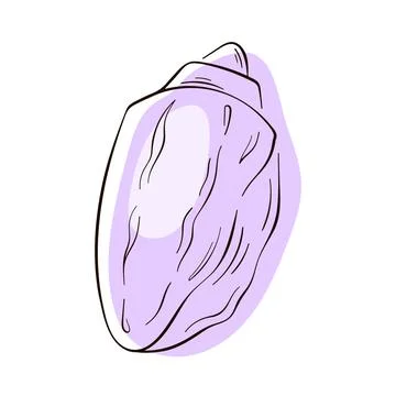 Conch seashell in line art style. Undersea summer print, seasonal element Stock Illustration