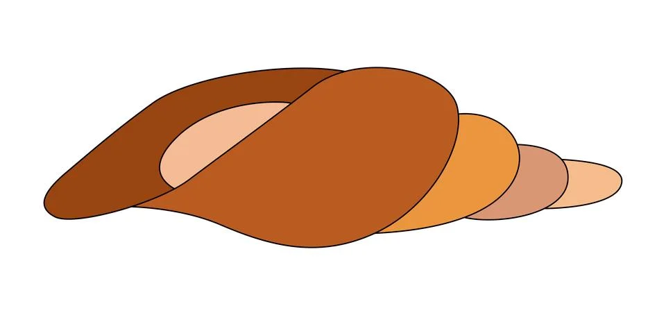 A conch seashell on a white background Stock Illustration