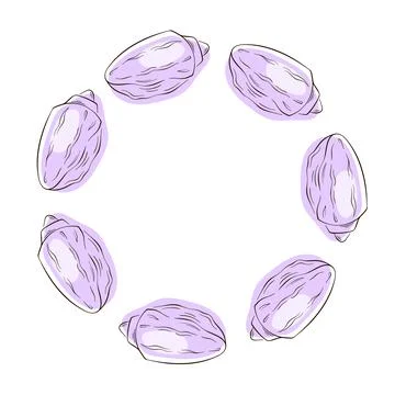 Conch seashell wreath in flat style. Undersea summer print, seasonal element Stock Illustration