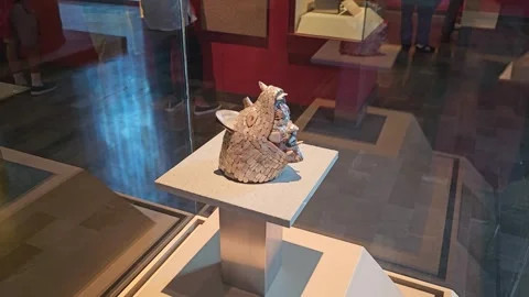 Conch Shell Artifact on Pedestal Reflected in Glass, Mexico 8K Stock Footage 340368387