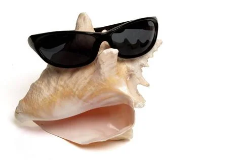 Conch Shell A conch shell wearing a pair of sunglasses Copyright: xZoonar.... Stock Photos