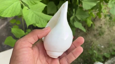 Conch Shell in Hand Close-Up | Shankh Holding Macro View Natural Footage 스톡 동영상 318729105