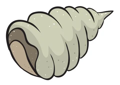 Conch shell Stock Illustration