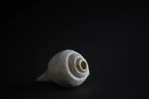 Conch shell as pooja essentials for rituals during hindu religious festival.. Stock Photos
