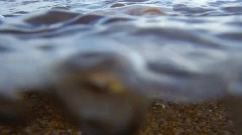Conch shell under waves on the ocean sand beach Stock Footage 64005225