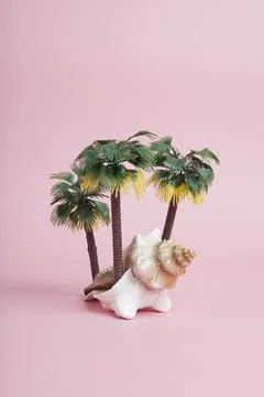 A conch shell used as a metaphor for a tropical island Stock Photos