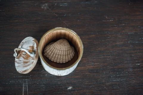 Conch in the small box on the old brown wooden table Stock Photos