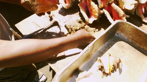 Conch Stand at Fish Marketplace Bazaar in Freeport, Grand Bahama, Bahamas Stock Footage 106205066