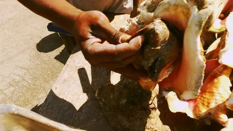 Conch Stand at Fish Marketplace Bazaar in Freeport, Grand Bahama, Bahamas Stock Footage 106205069