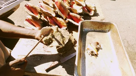 Conch Stand at Fish Marketplace Bazaar in Freeport, Grand Bahama, Bahamas Stock Footage 106205399