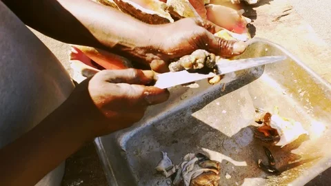Conch Stand at Fish Marketplace Bazaar in Freeport, Grand Bahama, Bahamas Stock Footage 106205492