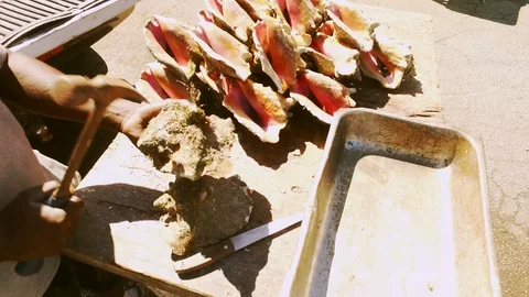 Conch Stand at Fish Marketplace Bazaar in Freeport, Grand Bahama, Bahamas Stock Footage 106205704