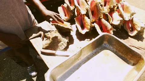 Conch Stand at Fish Marketplace Bazaar in Freeport, Grand Bahama, Bahamas Stock Footage 106205857