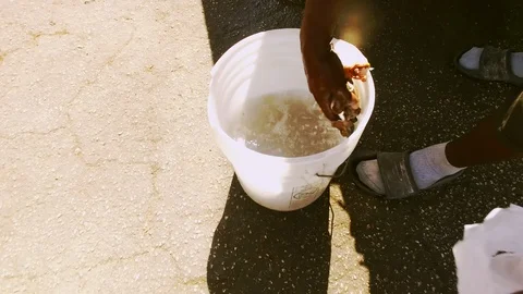 Conch Stand at Fish Marketplace Bazaar in Freeport, Grand Bahama, Bahamas Stock Footage 106205913