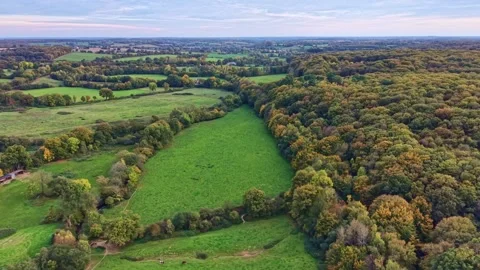 Concise Forest and countryside at dusk, France. Aerial backward Stock Footage 320451366