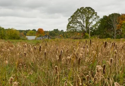 Concord Farm 写真素材