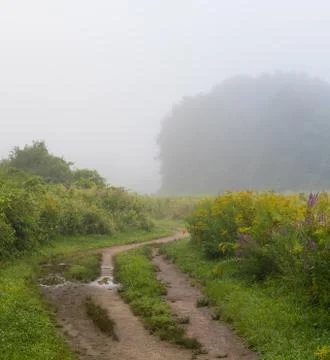 Concord Path, Meriam's Corner Stock Photos