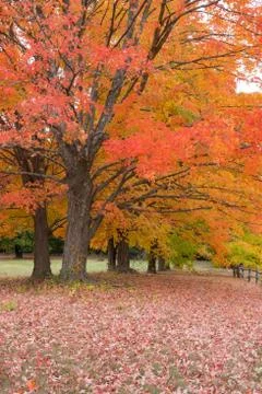 Concord Route 2A Stock Photos